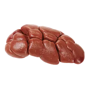 Riñon