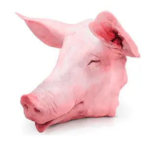 Cabeza De Cerdo