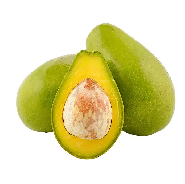 Aguacate