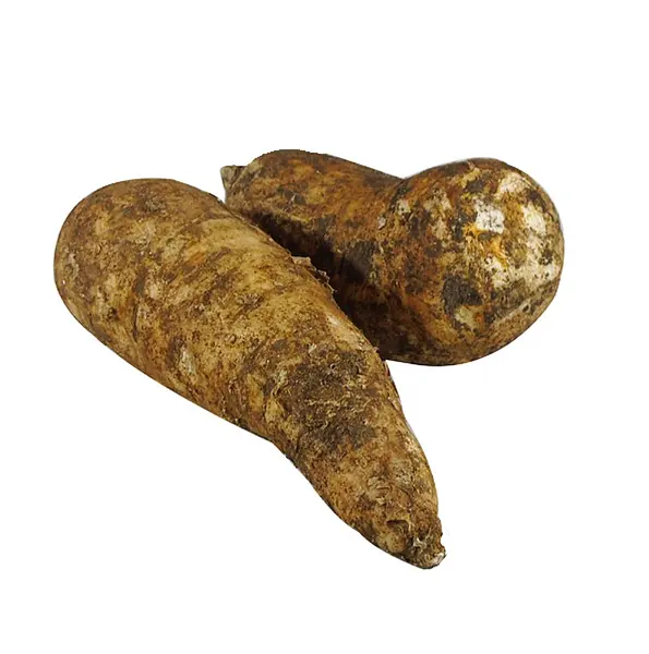 Arracacha