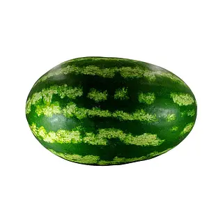 Patilla