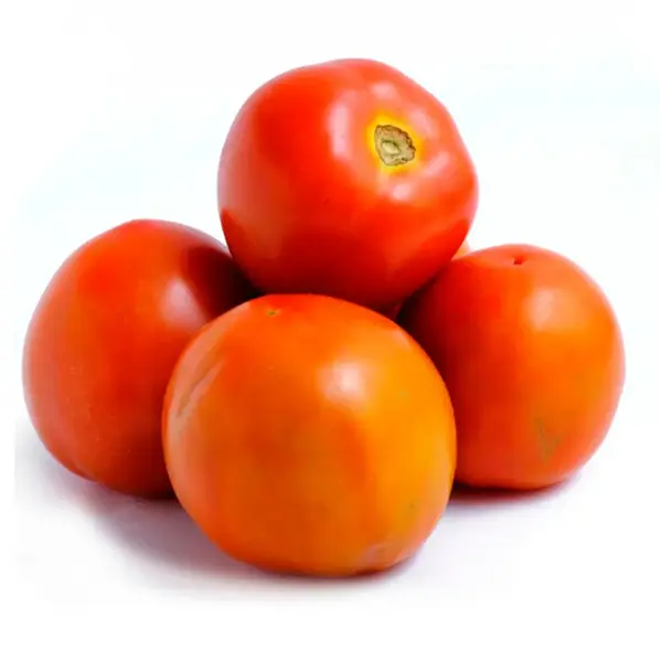 Tomate Guiso