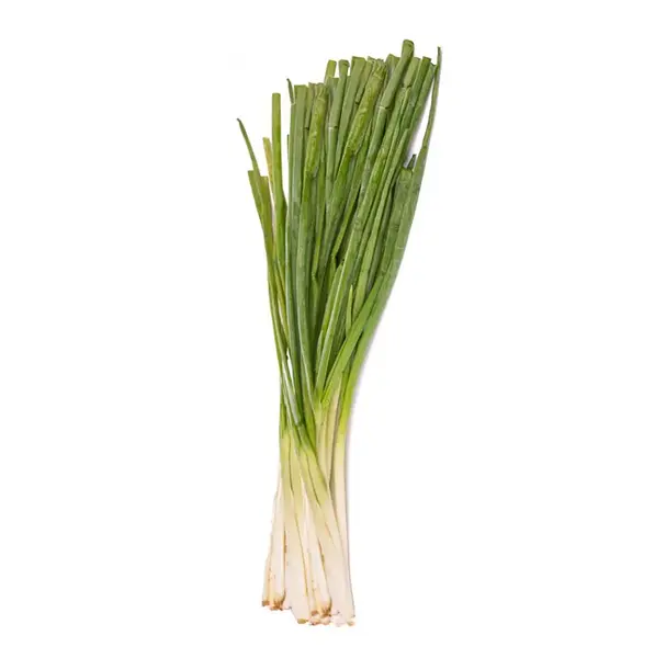 Cebolla Larga
