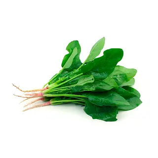 Espinaca