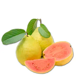 Guayaba