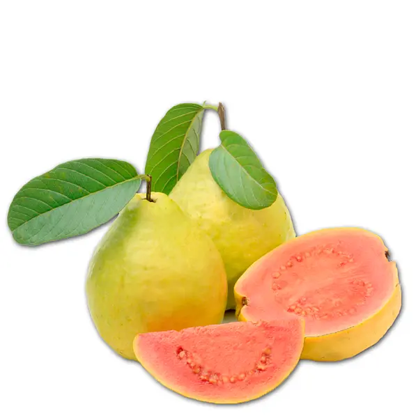 Guayaba