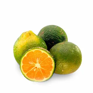 Limon Mandarino