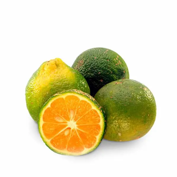 Limon Mandarino