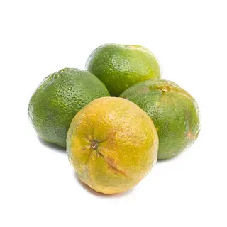 Mandarina
