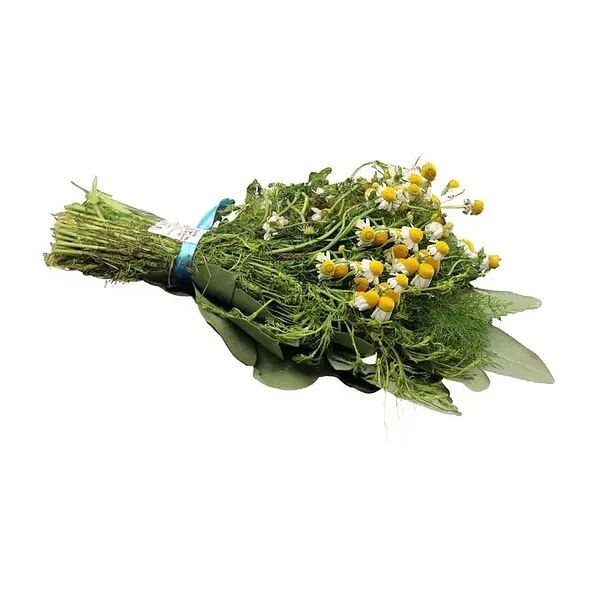 Aromaticas