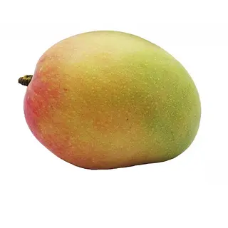 Mango Tommy