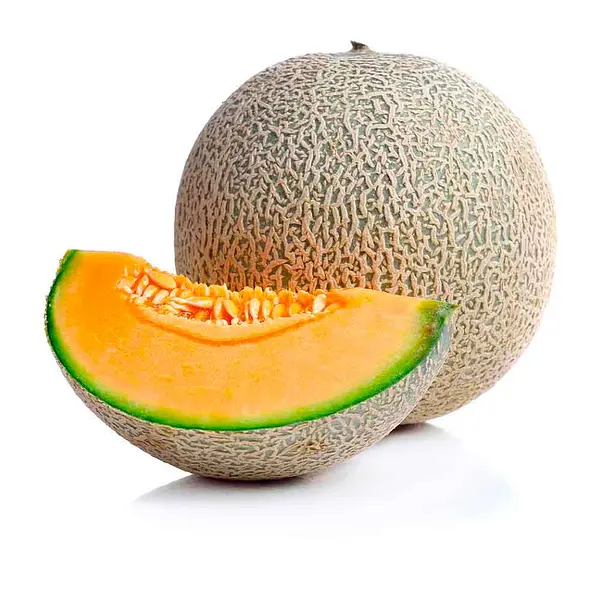 Melon