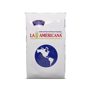 Harina Trigo Americana x 454 g