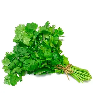 Manojo De Cilantro