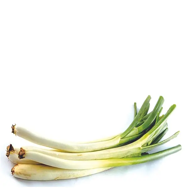 Cebolla Larga