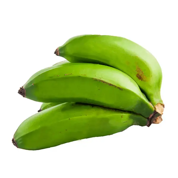 Colisero